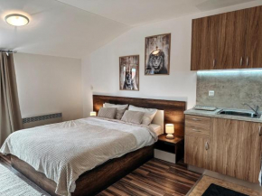 Pirin Apartament